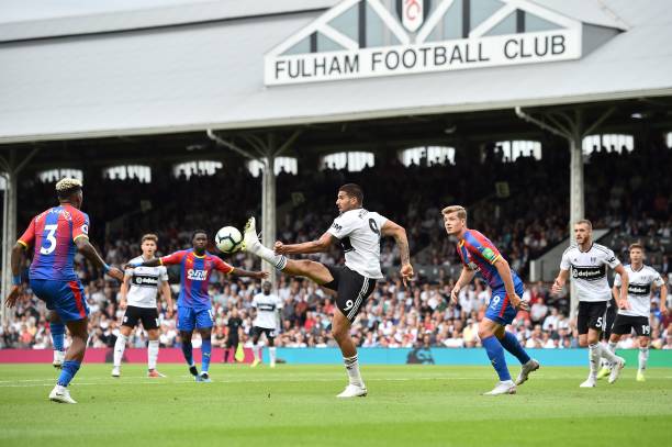 他并没有放 他并没有放