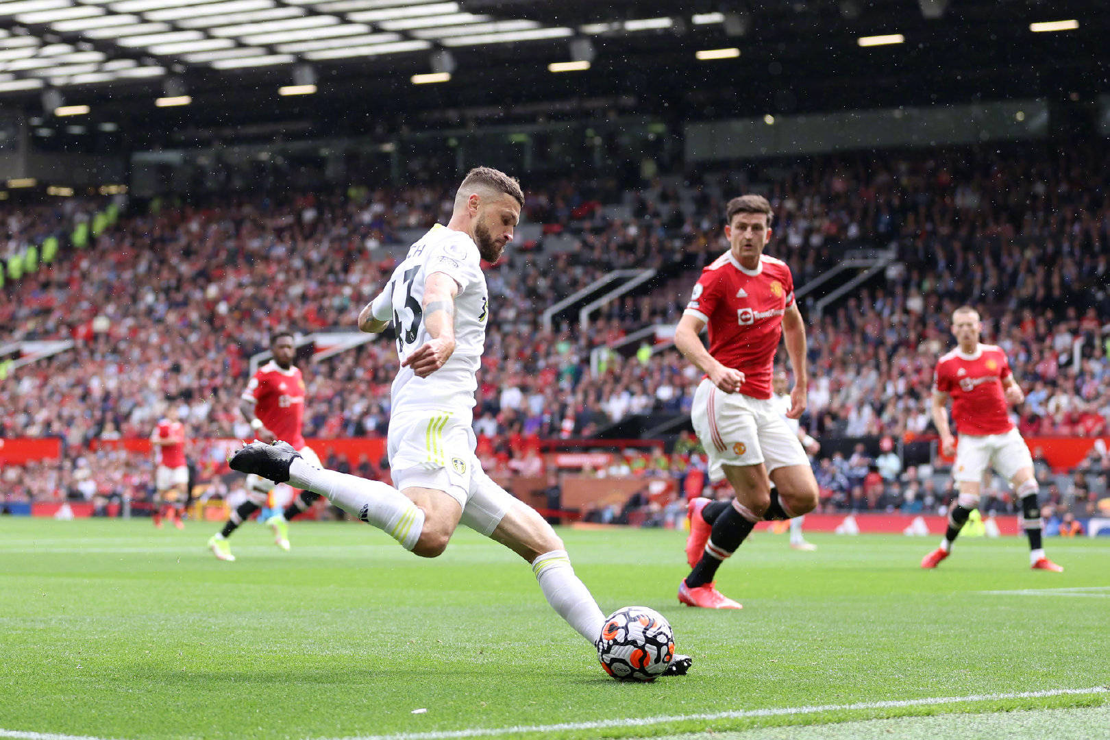 们失利的根 们失利的根